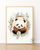 obrazy i plakaty Panda Wanda - ilustracja 1