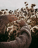 swetry damskie  Flowery Sweater 3