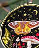 Ozdoby na ścianę Magiczna ćma na nocnym niebie  5