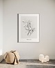 grafiki i ilustracje Jaśmin  print 50x70 cm 6