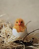 Wielkanoc - inne Kurczaczek Wielkanocny w skorupce 1