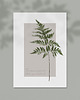 plakaty Plakat Grass is Greener 1