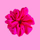 gumki do włosów Gumka jedwabna, scrunchie, frotka neon fuchsia MAXI 2