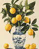 plakaty Plakat - Lemoniada 2