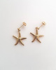 kolczyki pozłacane Kolczyki pozłacane Starfish sztyfty 1