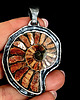 wisiory Amonit i sunstone 3