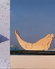 klocki i zabawki drewniane Foka / Seal  3
