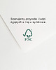plakaty Plakat- Tulipany w wazonie 3