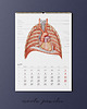 kalendarze i plannery Kalendarz Anatomiczny 2026 2