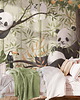 fototapeta Tapeta Pandarium 3