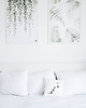 plakaty Plakat Zielnik roz. 61x91 cm 5