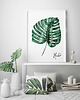 plakaty Plakat Monstera 2