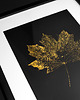obrazy Monotypia Botaniczna. Plakat Botaniczny Złoty Liść Klonu. Grafika w Ramie A3 4