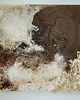 obrazy Obraz strukturalny "Mycelium" 5