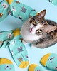skarpetki męskie Skarpetki Cat Lover - Kocia Mama i Koci Tata 3