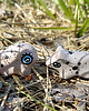figurki i rzeźby Miniaturowa figurka pieska 8