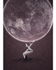 plakaty Plakat 50x70 - Pełnia 1