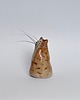 figurki i rzeźby Ceramiczny kot na kocie wąsy wibrysy 2