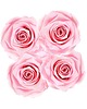 dodatki - różne Jasnoróżowe wieczne róże średni biały flower box Infinity Rose 2