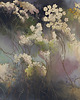 fototapeta Wildflowers 1
