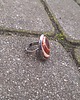 pierścionki - różne Ogień - pierścionek regulowany 2