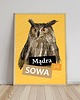 plakaty Plakat Mądry/a jak sowa 3