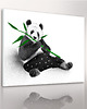 obrazy i plakaty do pokoju dziecięcego OBRAZ NA PŁÓTNIE -  100x80cm PANDA 4