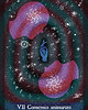 plakaty Plakat Consesio Animarum 2