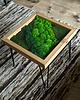 stoliki kawowe Stolik z Mchem i Świetlikami LED  50x50 cm  Szkło Hartowane 1