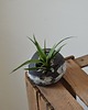 doniczki WYKLUCIE_doniczka ceramiczna_czarna 5