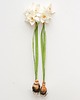 inne Dekoracja botaniczna, obraz - narcycy 1