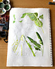 grafiki i ilustracje Bananowiec - ilustracja botaniczna 3
