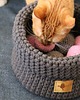 Zabawki dla zwierząt kosz na zabawki COTTON PLAYBOX beżowy 2