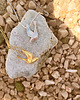 złote naszyjniki Naszyjnik - Dove - symbol pokoju 1