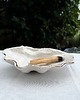 pojemniki na biżuterię Muszla ceramiczna biała w piegi 3