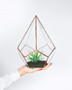 doniczki Szklarnia nr 1 Miedź, terrarium, donica, wazon 2