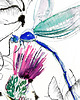 grafiki i ilustracje Dragonfly 4 - grafika 1