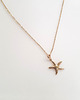 wisiory Starfish 3