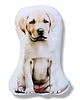 poduszki do pokoju dziecka Poduszka piesek przytulanka piesek labrador maskotka pluszowy labrador 1