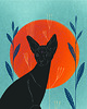 poduszki z grafiką Poduszka dekoracyjna - Sphynx cat 3