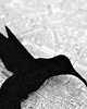 broszki FeltHummingBird 3