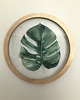 obrazy Szklany obraz - Monstera - Wall Me 9