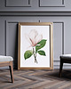 plakaty Plakat Biała magnolia 4