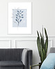 plakaty Plakat Morskie Trawki No.1 2