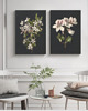 plakaty DWA PLAKATY BOTANICZNE vintage kwiaty ilustracje 1
