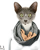 szale damskie ::: tuba MIX GREY CARAMEL ::: 1