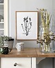 grafiki i ilustracje Osty 30x40  - grafika botaniczna 1