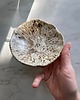 pojemniki na biżuterię Ceramiczna Miseczka Skorupka na Biżuterię Przekąski Przepiórka 3