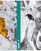 obrazy OBRAZ NA PŁÓTNIE -  120x80cm - DEER 3
