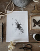 plakaty Motyl print 30x40 cm 1